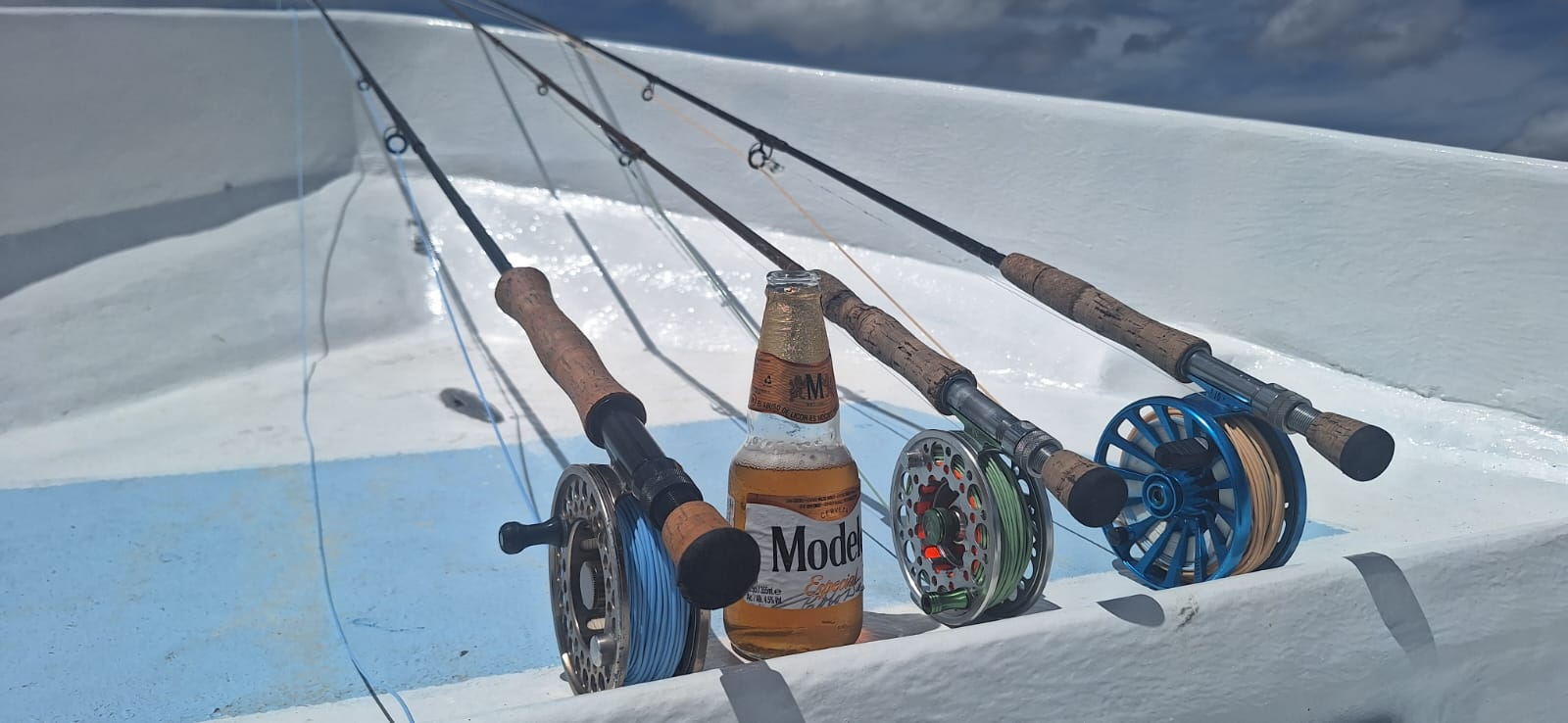 Fly rods and Modelo